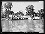 Showboat Majestic